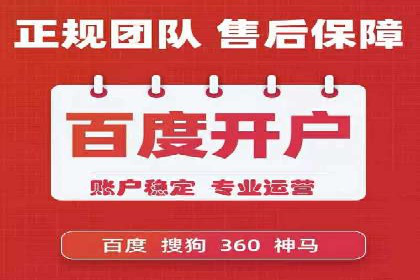 SEM服务公司助力电商增长案例