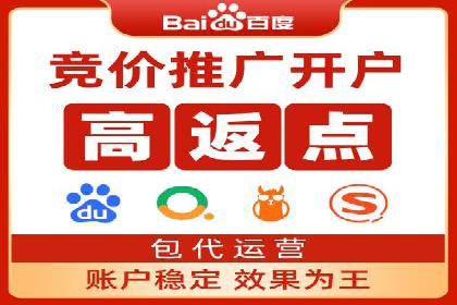 SEM竞价代运营：案例展示数据分析与应用